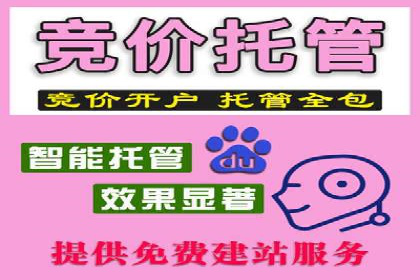 百度推广费用预算：案例分析及建议